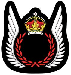 Insigne des Qualifications de l’équipage de vol