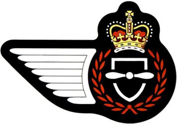 Insigne du Technicien de soutien aux opérations aériennes de l’Aviation royale canadienne