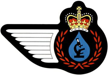 Insigne d'un Technicien – eau, produits pétroliers et environnement de l’Aviation royale canadienne
