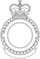 Encadrement d'insigne pour les escadrons aériens des Forces armées canadiennes