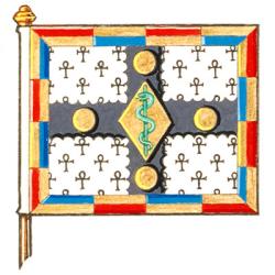 Flag of the Medical Alumni Association of the University of Toronto