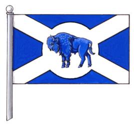 Flag of the Rural Municipality of St. Andrews