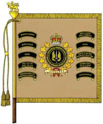 Étendard du Régiment des opérations spéciales du Canada