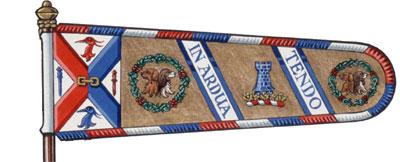 Drapeau de Thomas Ross Anthony Malcolm