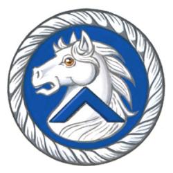 Badge of Derek Austin Tidd