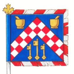 Flag of Derrick Darko Strizic