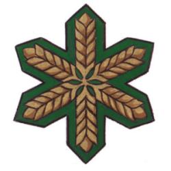 Insigne de La Ville de Brandon