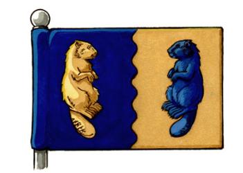 Drapeau de la Town of Castor