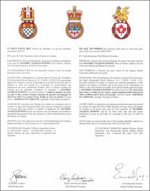 Letters patent granting heraldic emblems to Mathieu Jacques Dupont