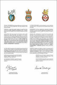 Letters patent granting heraldic emblems to Nady Ahmed el-Guebaly