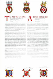 Lettres patentes concédant des emblèmes héraldiques à Corneliu Emil Eugen Chisu