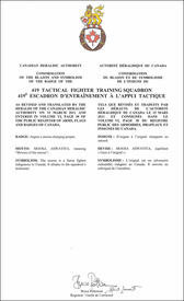 Lettres patentes confirmant le blasonnement de l'insigne du 419e Escadron d'entraînement à l'appui tactique