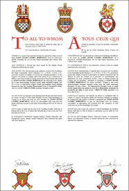 Lettres patentes concédant des emblèmes héraldiques à Jason David Landry Robicheau