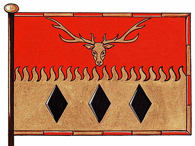 Flag of the District of Tumbler Ridge