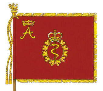La bannière de la Princesse Royale pour le Service de santé royal canadien