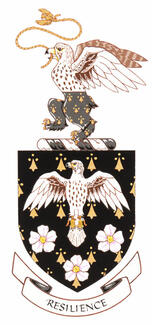 Arms of Udo Hanebaum