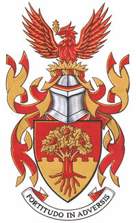 Arms of Joshua Edward Shankowsky