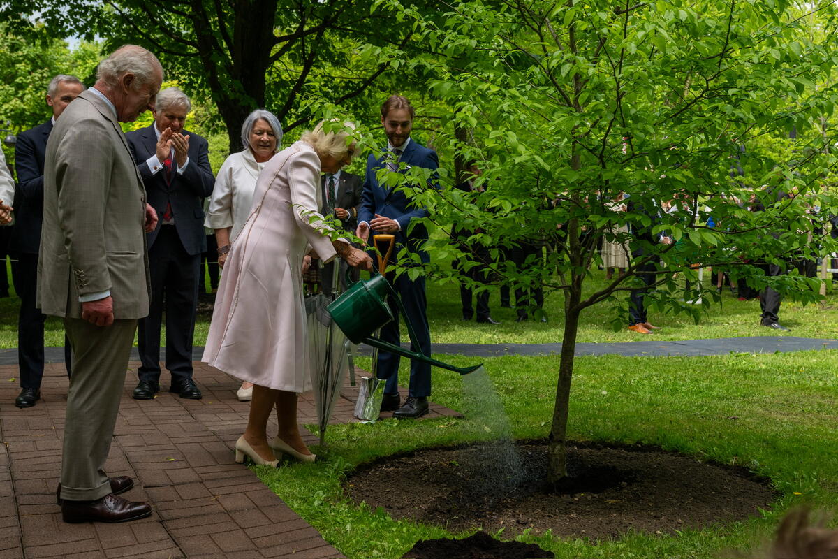 Queen Camilla watering a tree.