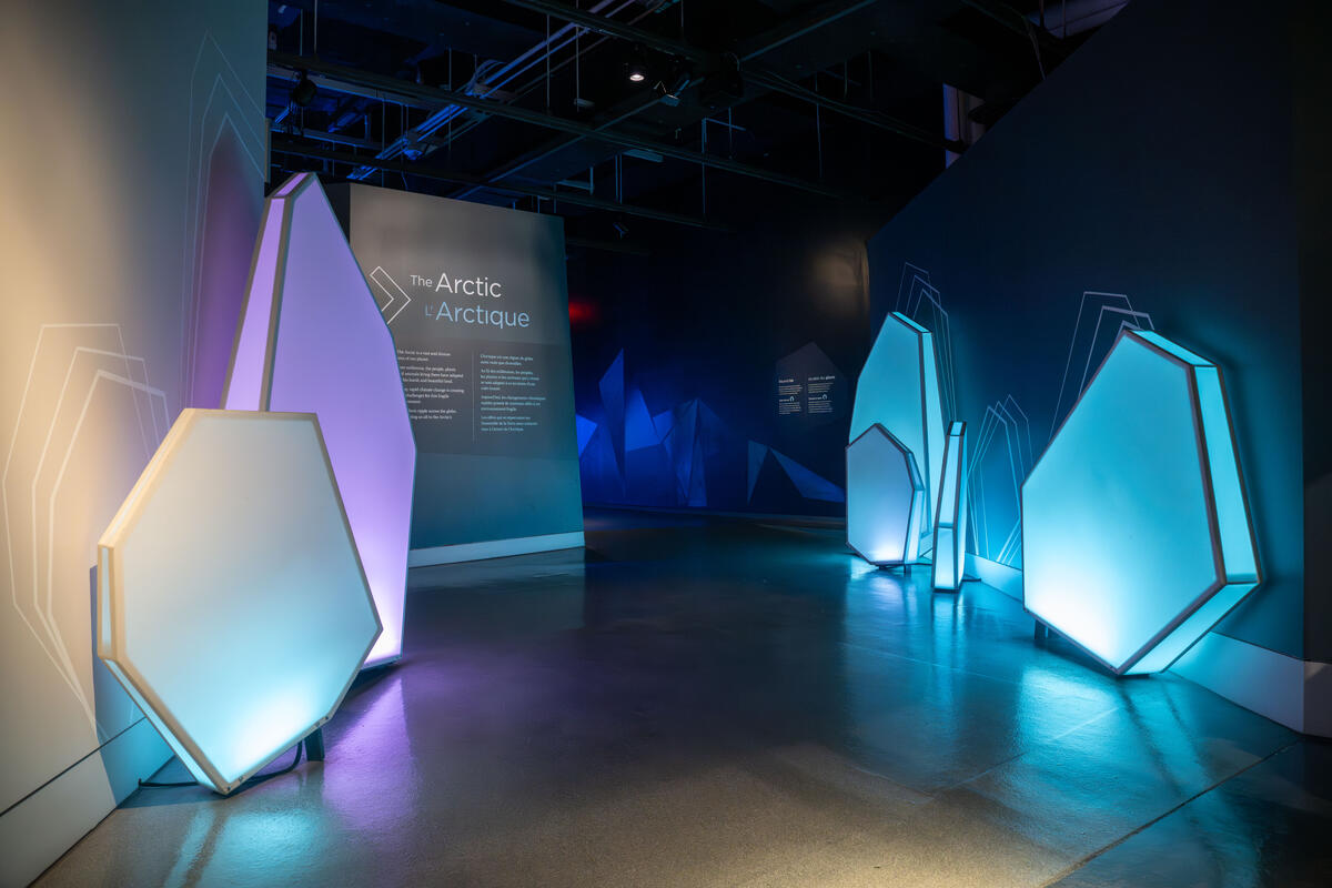 Une exposition faiblement éclairée intitulée « L'Arctique ». Des panneaux géométriques sur les murs émettent une lumière bleue froide, créant une atmosphère sereine.