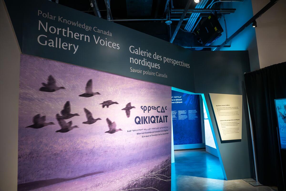 Entrée de l'exposition Northern Voices Gallery, présentant des œuvres d'art représentant des oies en vol sur un ciel violet.