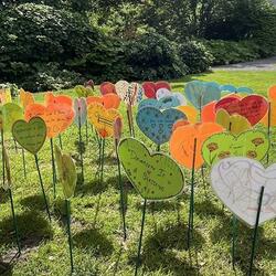 Des cœurs en carton avec des messages, collés sur des bâtons verts, tous placés dans l'herbe sur le terrain de Rideau Hall.