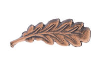 Mentions in Dispatches