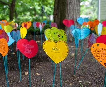 Photo of cardboard hearts, placed in the garden. They all have various positive messages.