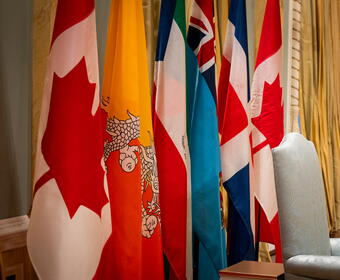 Row of flags representing countries of ambassadors and high commissioners presenting their letters of credence.