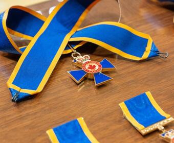 Several badges featuring blue and yellow ribbon on a wooden table. 