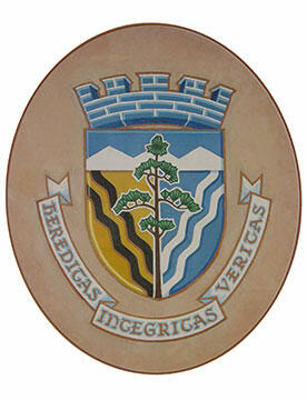 Lettres patentes enregistrant les emblèmes héraldiques de The Corporation of the Town of Halton Hills