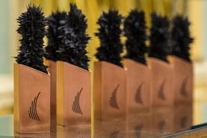 Governor General's Innovation Awards